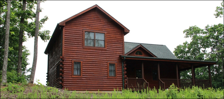 Professional Log Home Borate Application  Warren County, Ohio